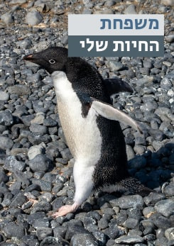 צפייה בסרט המלא - משפחת החיות שלי - פינגווין