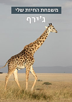 צפייה בסרט המלא - משפחת החיות שלי - ג'ירף