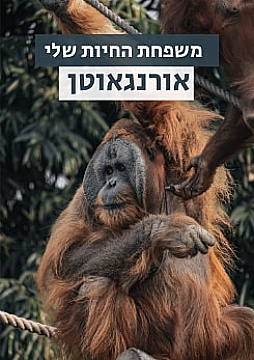 צפייה בסרט המלא - משפחת החיות שלי - אורנגאוטן