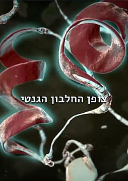 Watch Full Movie - צופן החלבון הגנטי