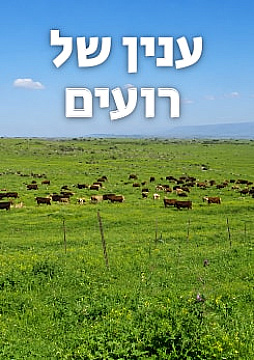 צפייה בסרט המלא ענין של רועים - צפייה בטריילר