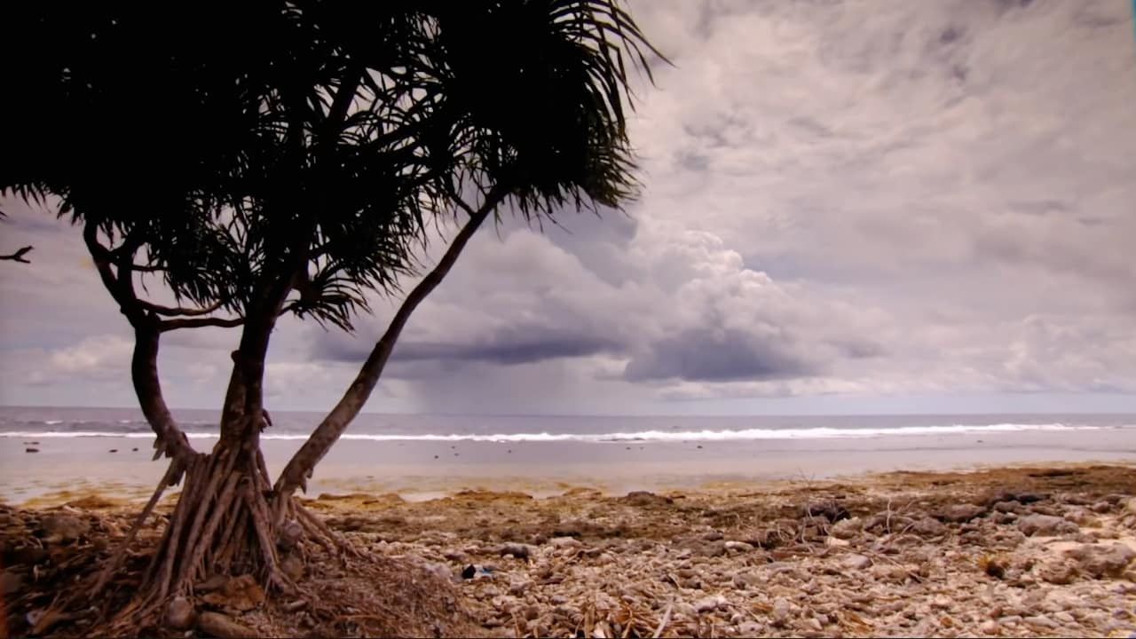 צפייה בסרט המלא - מדע האקלים בעברית פשוטה - לצפיה בטריילר