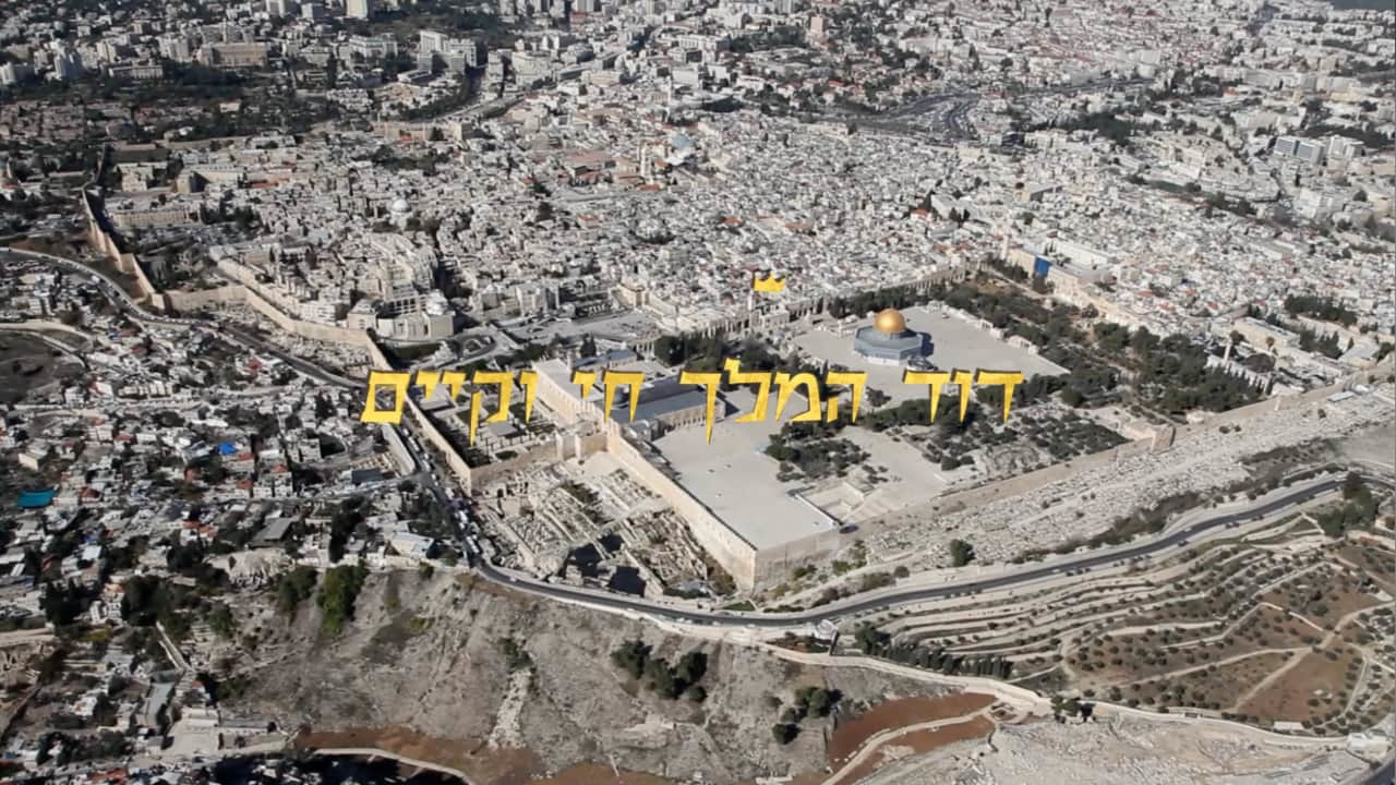 צפייה בסרט המלא - דוד המלך חי וקיים - לצפיה בטריילר