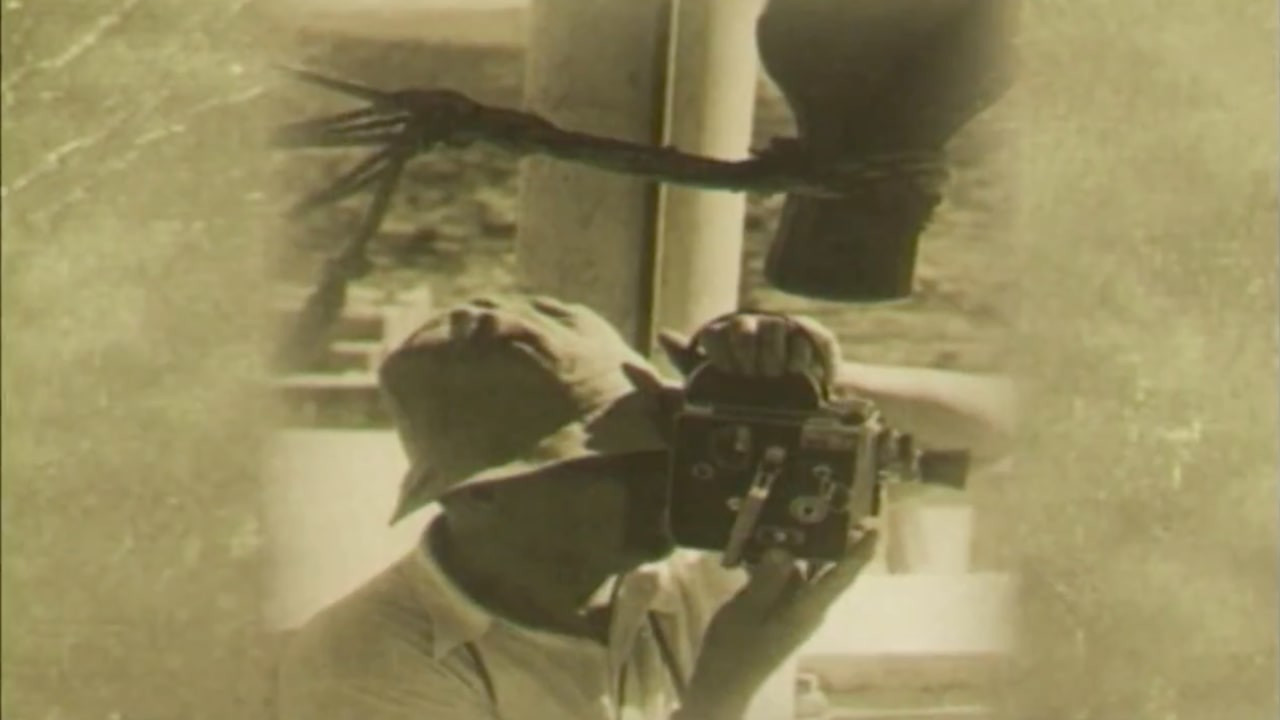 צפייה בסרט המלא - הסרט האחרון של דונקל - לצפיה בטריילר