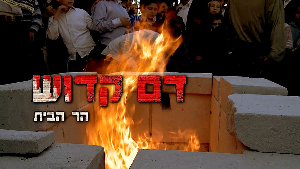 צפייה בסרט המלא דם קדוש: הר הבית - צפייה בטריילר