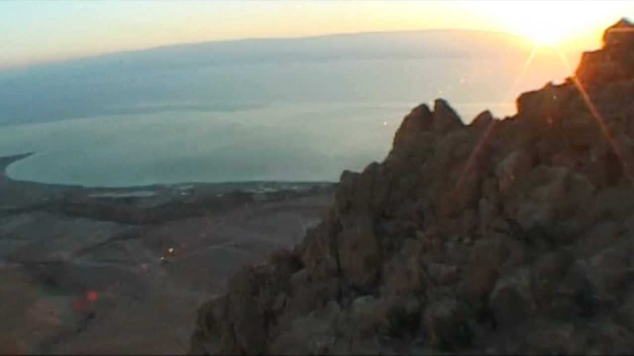 צפייה בסרט המלא - הנמר האחרון - לצפיה בטריילר