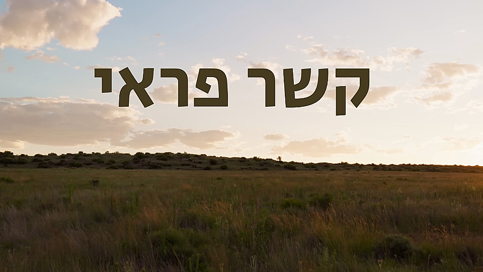 צפייה בסרט המלא קשר פראי - שמורת הברדלסים - צפייה בטריילר
