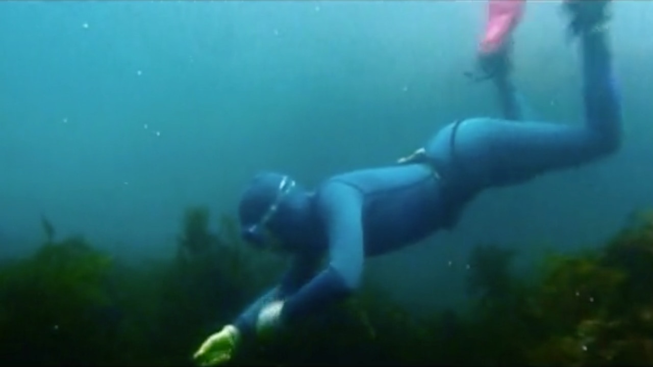 צפייה בסרט המלא - הנשים של הים  - לצפיה בטריילר