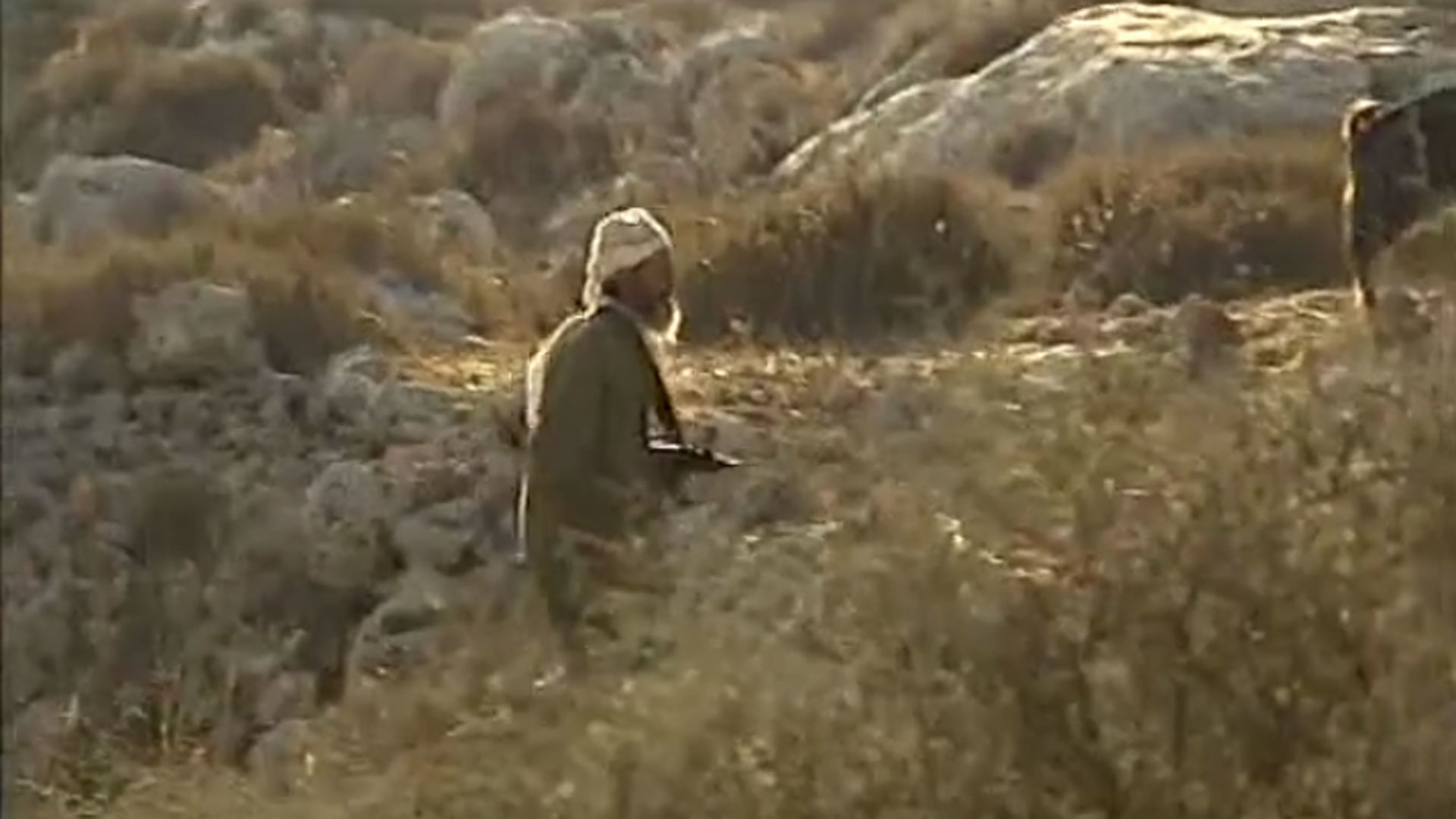 צפייה בסרט המלא - בין זית לתפוח - לצפיה בטריילר