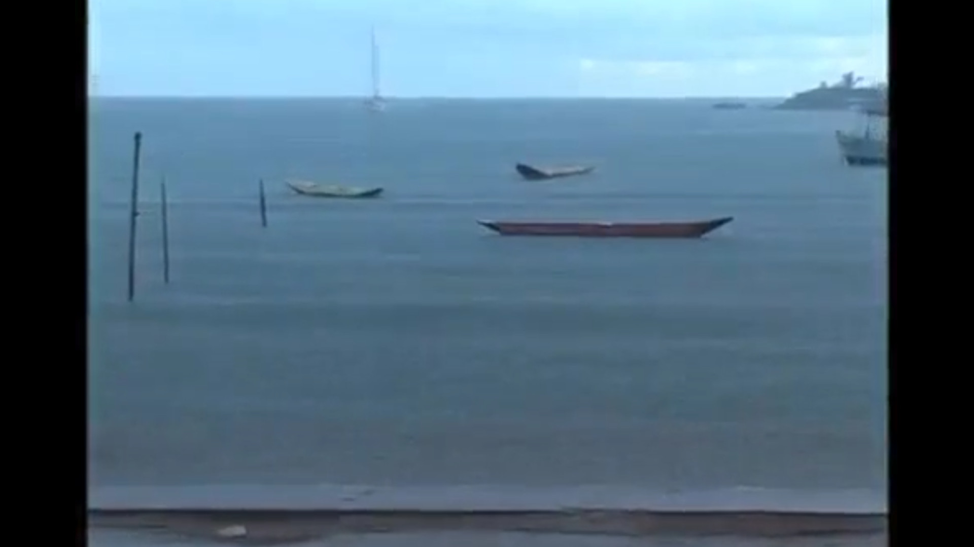 צפייה בסרט המלא - Gatos  - חתולים - לצפיה בטריילר