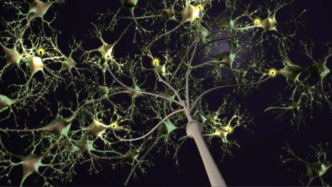 צפייה בסרט המלא -  גוף האדם - התאים המופלאים פרק ראשון  - לצפיה בטריילר