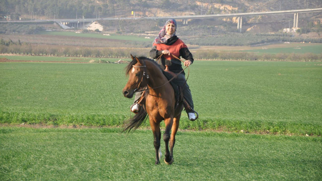 צפייה בסרט המלא - האישה מהסינמטק - לצפיה בטריילר