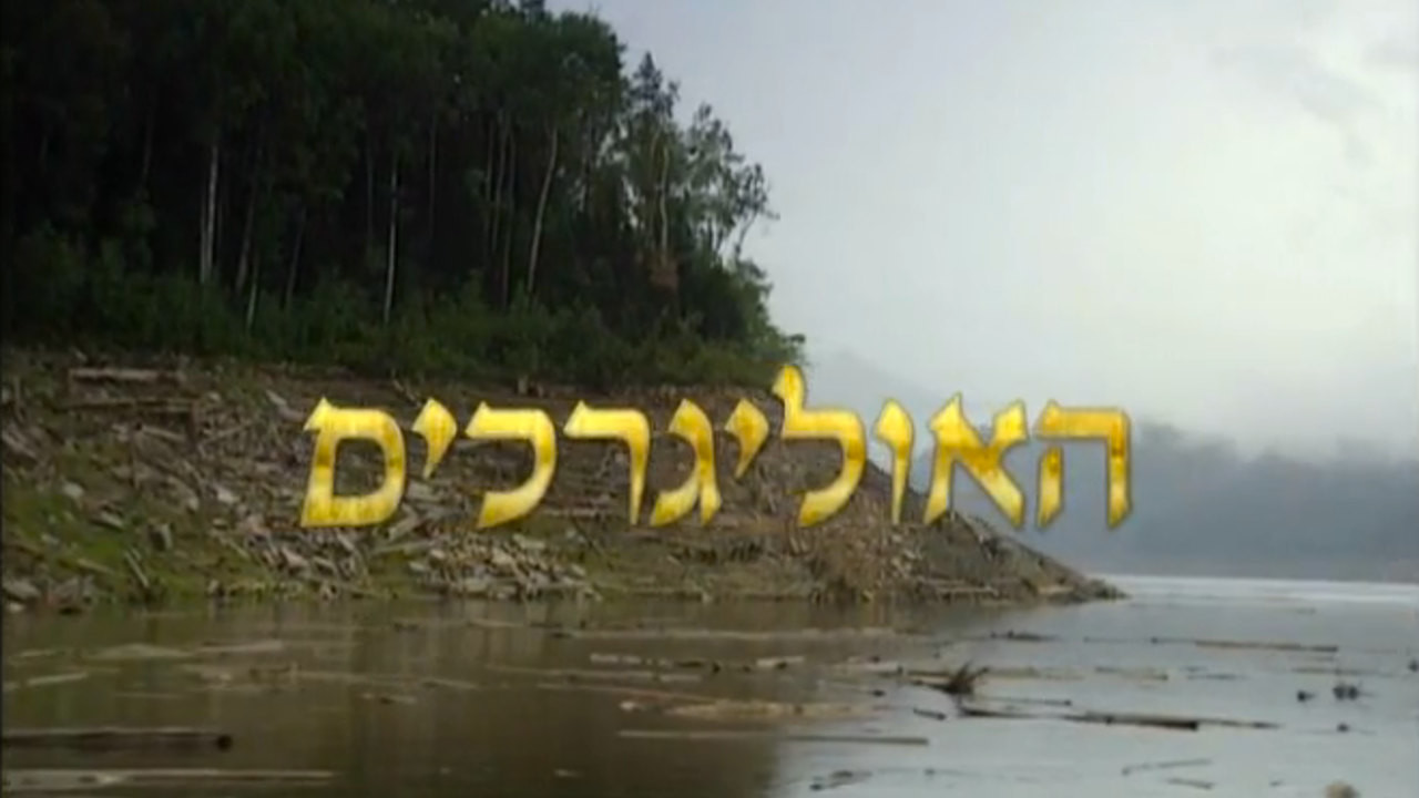 צפייה בסרט המלא - האוליגרכים: קרב אחרון - לצפיה בטריילר