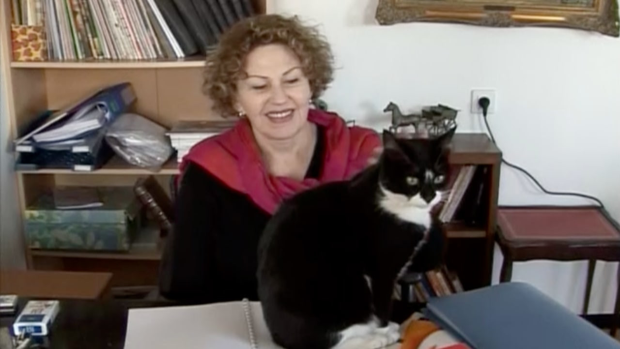 צפייה בסרט המלא - אגי משעול: קורים דברים - לצפיה בטריילר